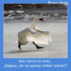 Веселі українські фото приколи - мотиватори про тварин