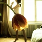 Девушка и тюльпан