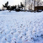 Все снеговики на митинг!