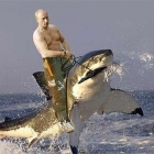 Путин и акула