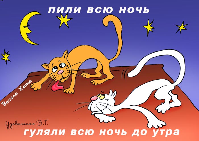 картинки - карикатуры про котов "Всю ночь до утра!". Валерий Удовиченко