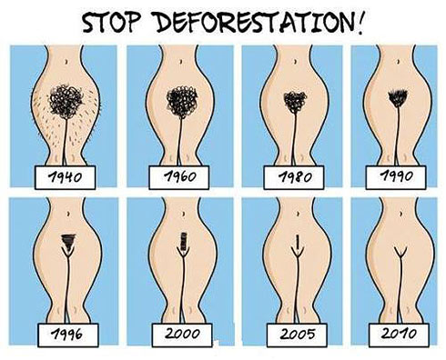 картинка - карикатура  "Cтоп вырубанию лесов!"