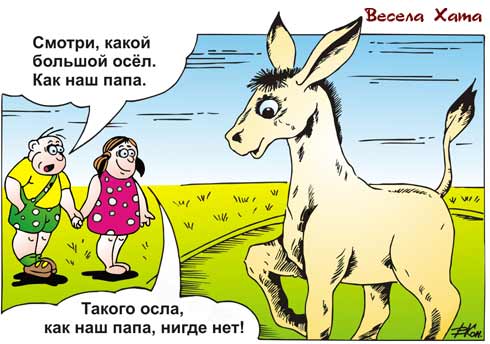 карикатура "Осёл". Виктор Кононенко