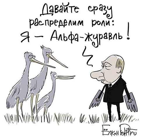 карикатура "Путин и журавли"