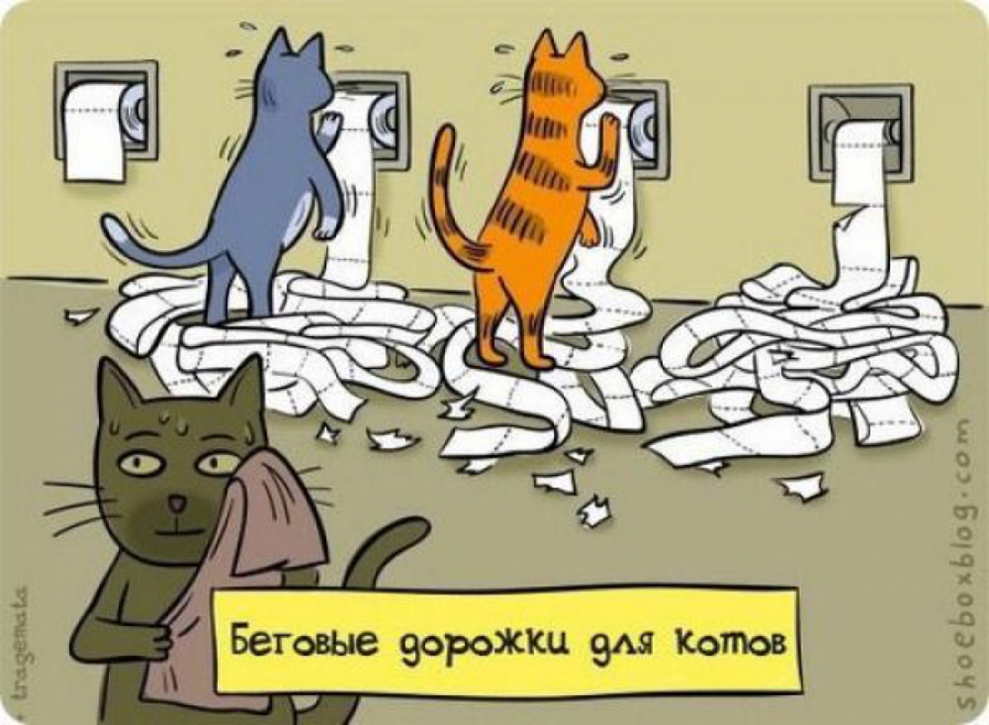 15.03.12. Создать себе блог. julianan. ladlb. Начните прямо сейчас
