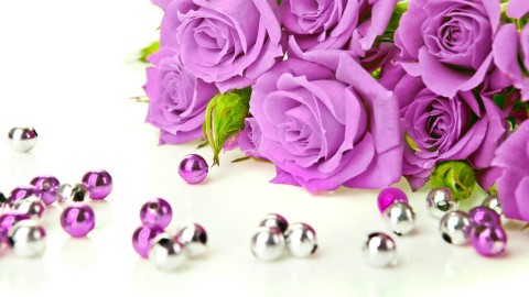 2018Nature___Flowers_Lilac_roses_with_beads_on_a_white_background_129363_23